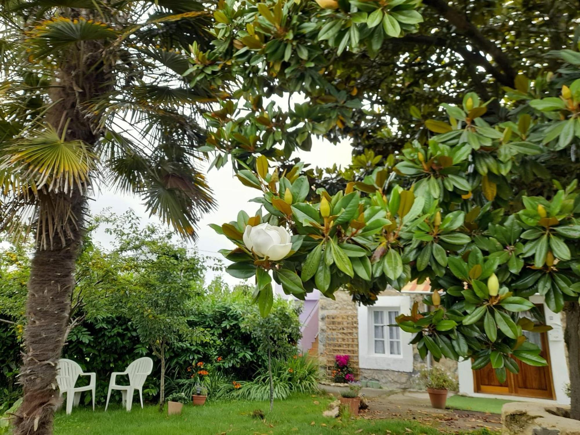 Casamarietacantabria Reocín Esterno foto